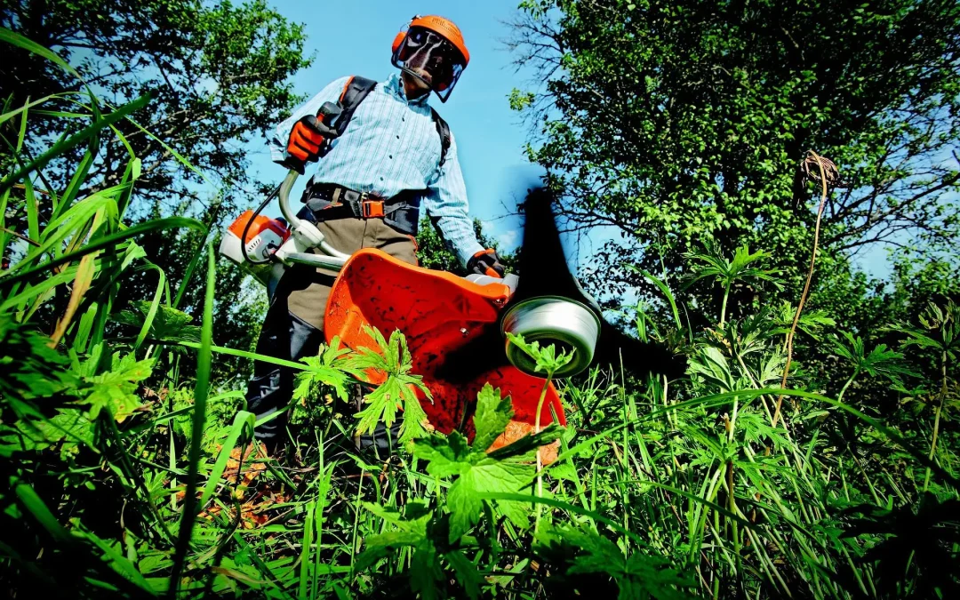 Fall Landscaping Prep for North Carolina’s Coastal Areas