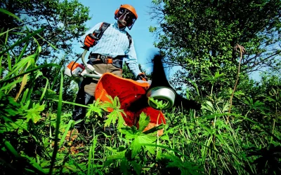 Fall Landscaping Prep for North Carolina’s Coastal Areas